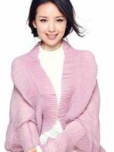 董洁照片资料,优雅与坚韧并存的美丽传奇